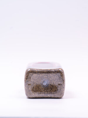 Black Pepper