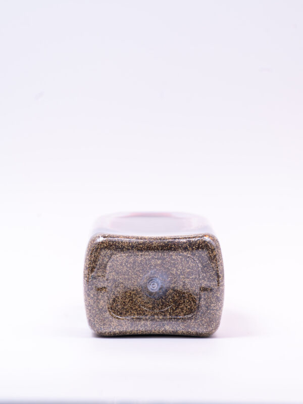 Black Pepper - Image 4